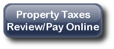 Review or Pay your Taxes Online